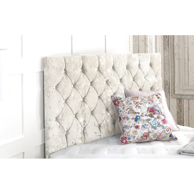 Womack Upholstered Headboard, Superking (6'), Champagne