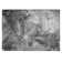 Wellsboro Area Rug