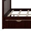 Lit superposé simple au-dessus de double avec tiroirs de rangement, structure en bois de pin massif et échelle avec garde-corps pour enfants, adolescents