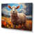 Wrapped Canvas