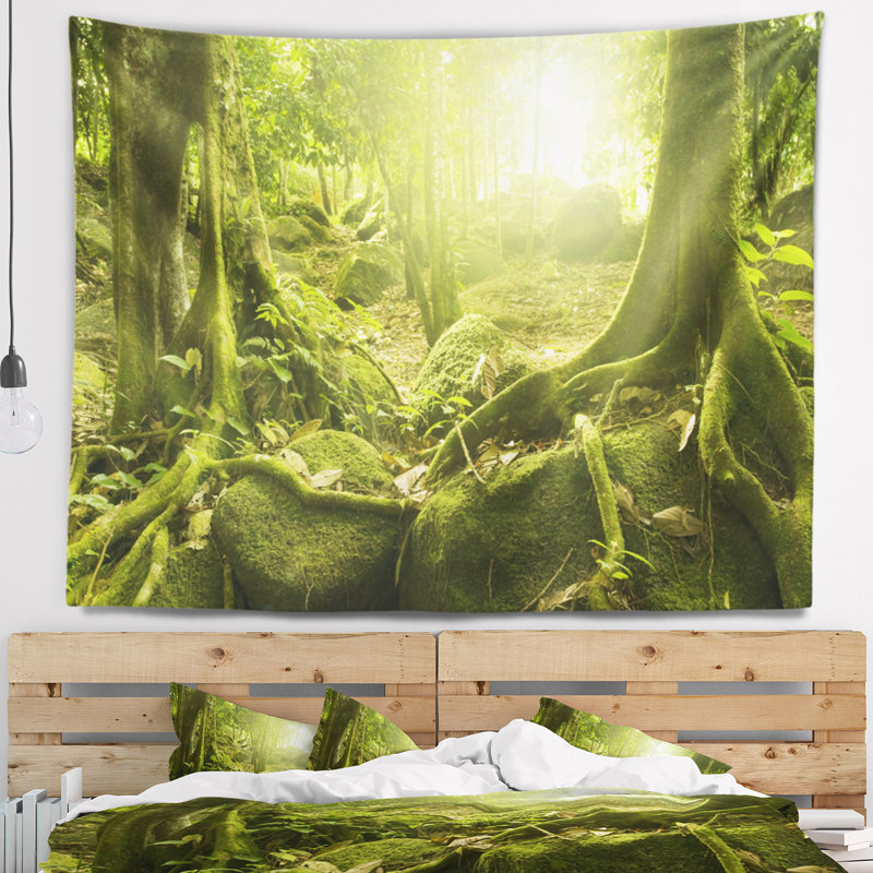 Photographie de paysage forêt verte avec tapisserie du soleil, H 50 po x l 60 po