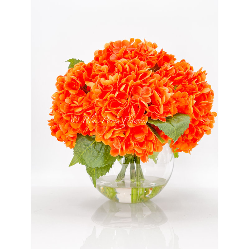 Véritable hydrangée dans un vase, Orange Color