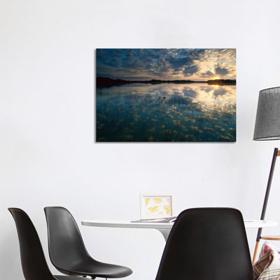 American Alligator In Nine-Mile Pond, Everglades National Park, Florida by Tim Fitzharris - Wrapped Canvas Print