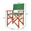 Loganton Folding Director Chair