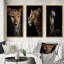 "Superbe portrait de léopard" - 3 pièces-534288902-534288901