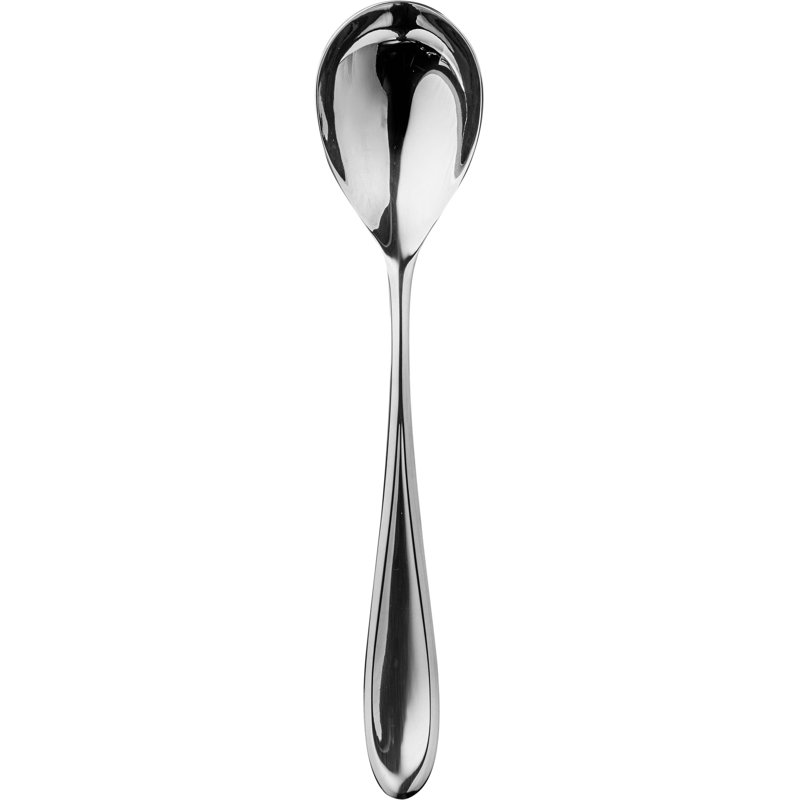 Forma Stainless Steel Serving Spoon