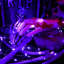 Lumières mauves d'Halloween