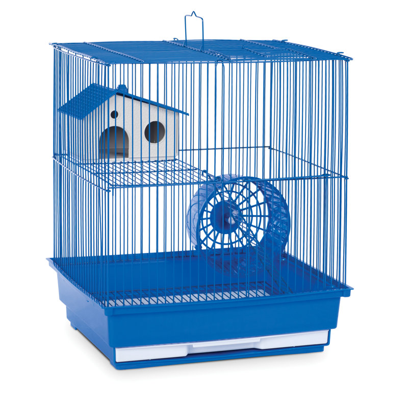 Cage à souris avec rampe Kalish, Bleu