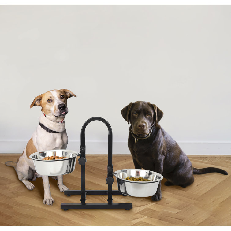 Parton Pet Bowl (Set of 2) Tucker Murphy Pet Color: Gray, Capacity: Small (2 Cups / 16 Fluid oz)