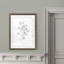 Eucalyptus sketch iii-reproduction de peinture encadrée-2014946976-2014946981