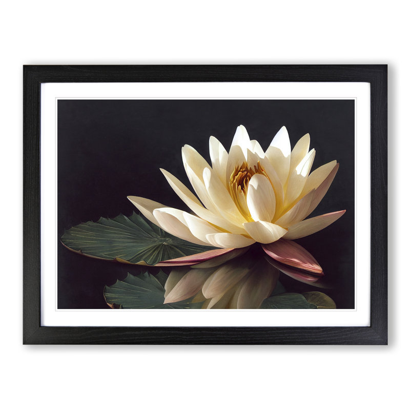 Sparkling Water Lily Flower - Framed Print, 25cm H x 34cm W x 2cm D, Black
