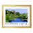 Oak Wood Frame