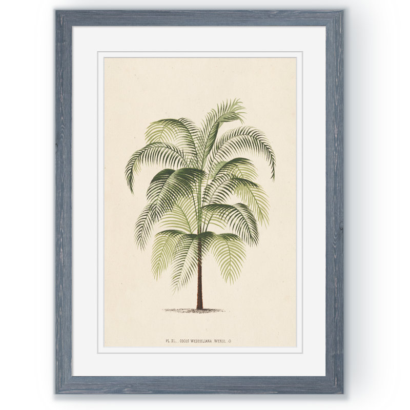 « palmierss iii » par paul cezanne-reproduction d’art sur image, H 16 po x l 22 po x P 1 po, Impression avec cadre gris