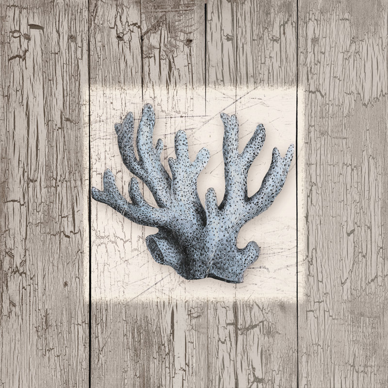 Sea Shell Blue Drift 2 - Wrapped Canvas Print, 76cm H x 76cm W x 3.8cm D