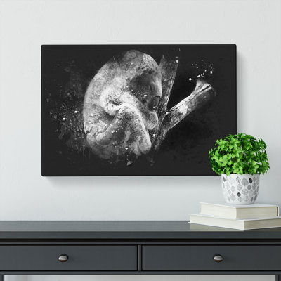 Koala Bear Resting In A Tree - Wrapped Canvas Print