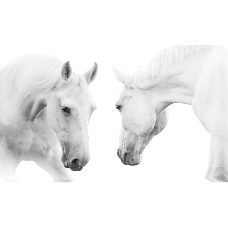 «Brothers», reproduction de photo sur toile tendue, H 18 po x l 30 po x P 1 po