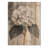 Monochrome Hydrangea With A Winter Stem I - Hydrangea Wood Print - On Natural Pine Wood-1754038113