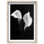 Calla Lily Framed Graphic Art-1579108195-1579108199