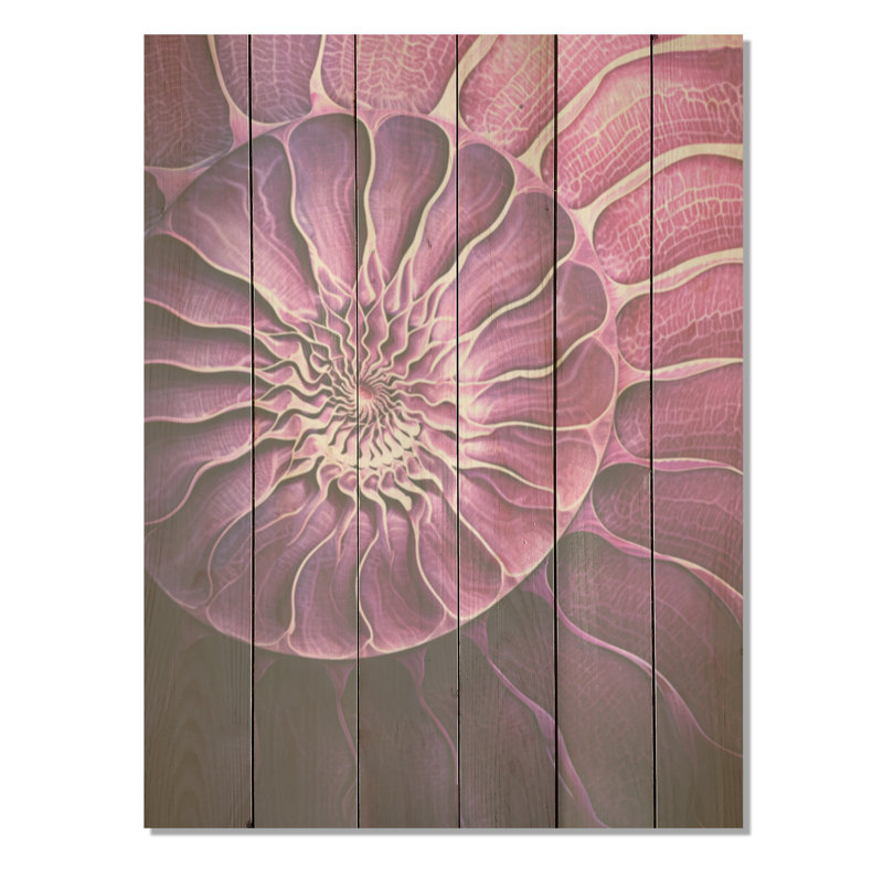 Nautilus prune coquillages I - Nautilus, art sur bois de pin naturel, H 20 po x l 10 po