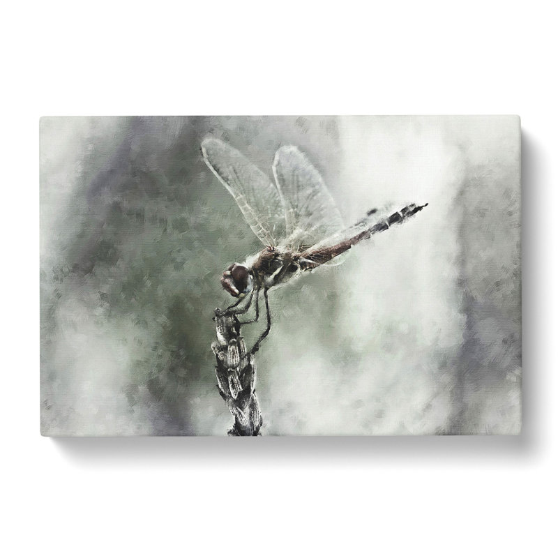 Perched Dragonfly - Wrapped Canvas Print, 60cm H x 91cm W x 3cm D