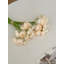 Bouquet de pivoines-1535704137