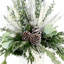 Evergreen Arrangement in Pot