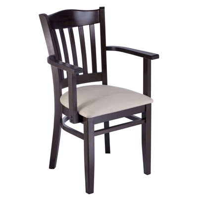 Riggio 18'' H Upholstered Armchair