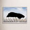 Hennecy "Wooden Boats" Print by Leah Straatsma