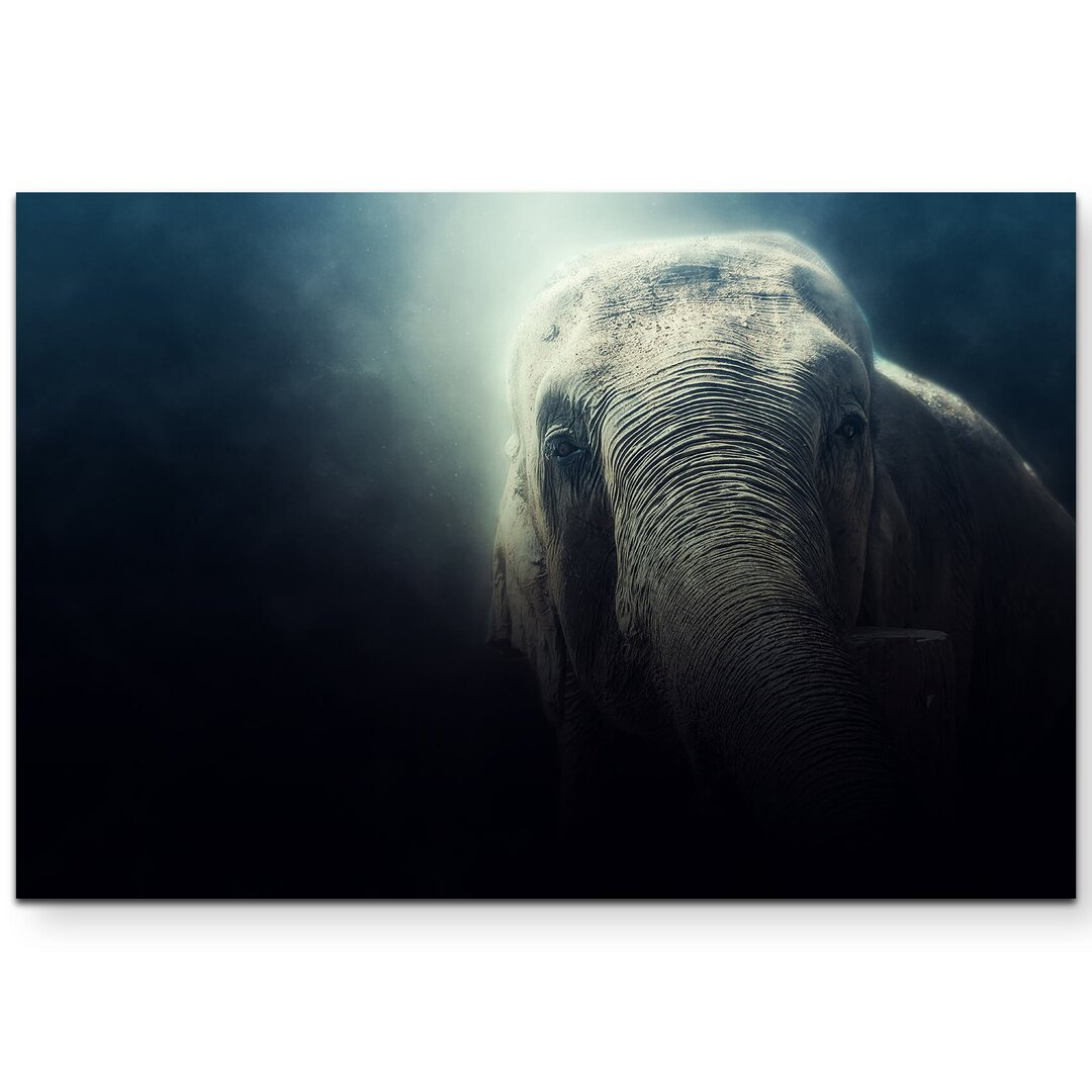 Leinwandbild Portrait Elefant