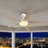 52" 5 - Blade Ceiling Fan With Light & Remote Control-219099419-219099396