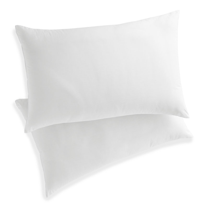 Martex Clean Essentials Pillow and Pillow Protector Set With Silverbac Antimicrobial Technology, Standard