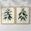 «Soft Greenery I», reproduction encadrée de qualité supérieure - prête à être accrochée - aucun clou requis - aucun clou requis-1471035399-1471035403
