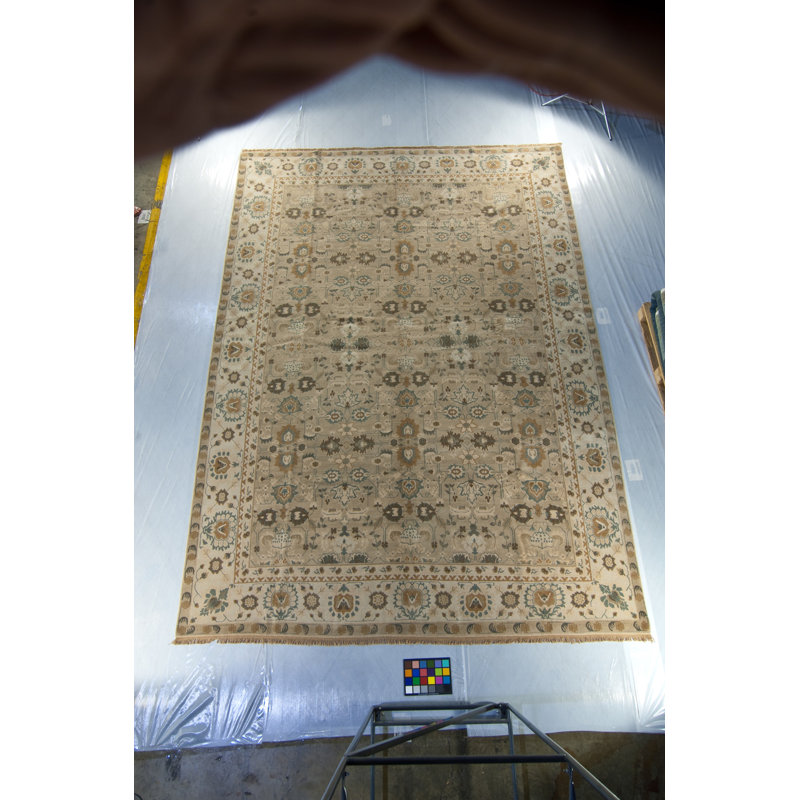 Arak Wool Oriental Area Rug