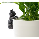 Cat Pot Buddy Pot Hanger In Gift Box