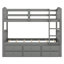 Bunk Bed With Ladder,Trundle And Drawers-1568596757