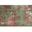 Tapis Embrace Nature's Palette with Our Earthy