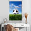 Ballon de soccer Sireci sur gazon-108612101