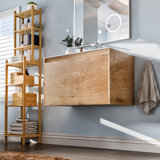 Albrechtice 24" W x 18" D x 19" H Wall-Mounted Single Bathroom Vanity