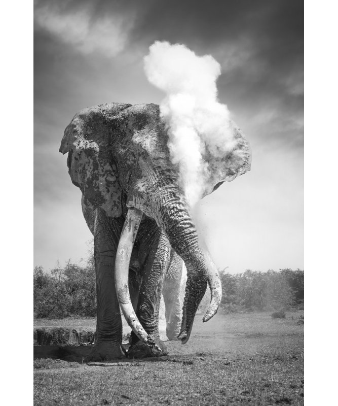 Wrapped Canvas Print, 91.44 cm H x 60.96 cm W