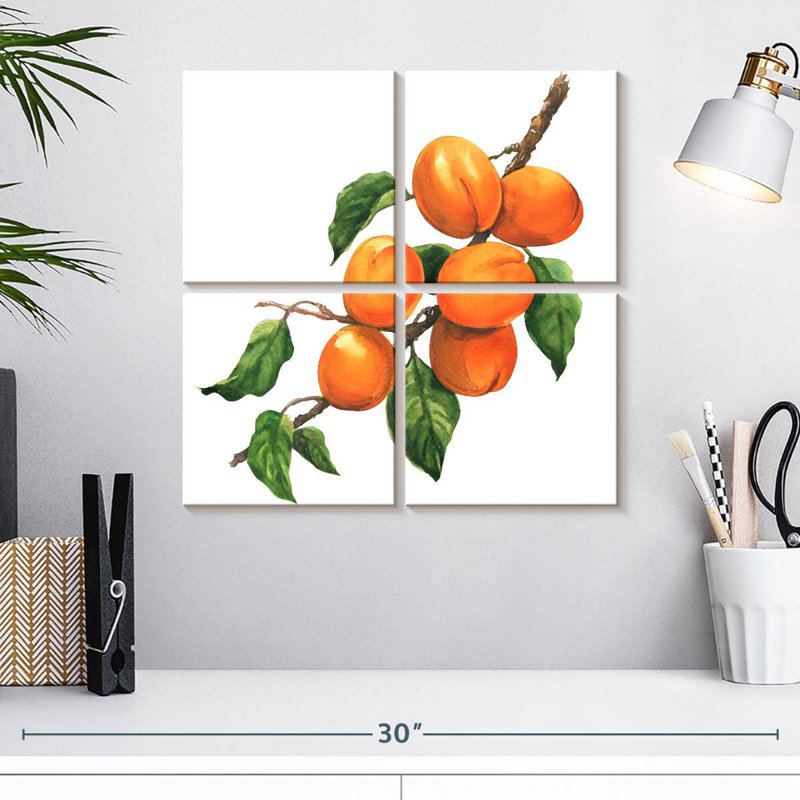 Abricots mûres Yarlin, H 18 po x l 18 po