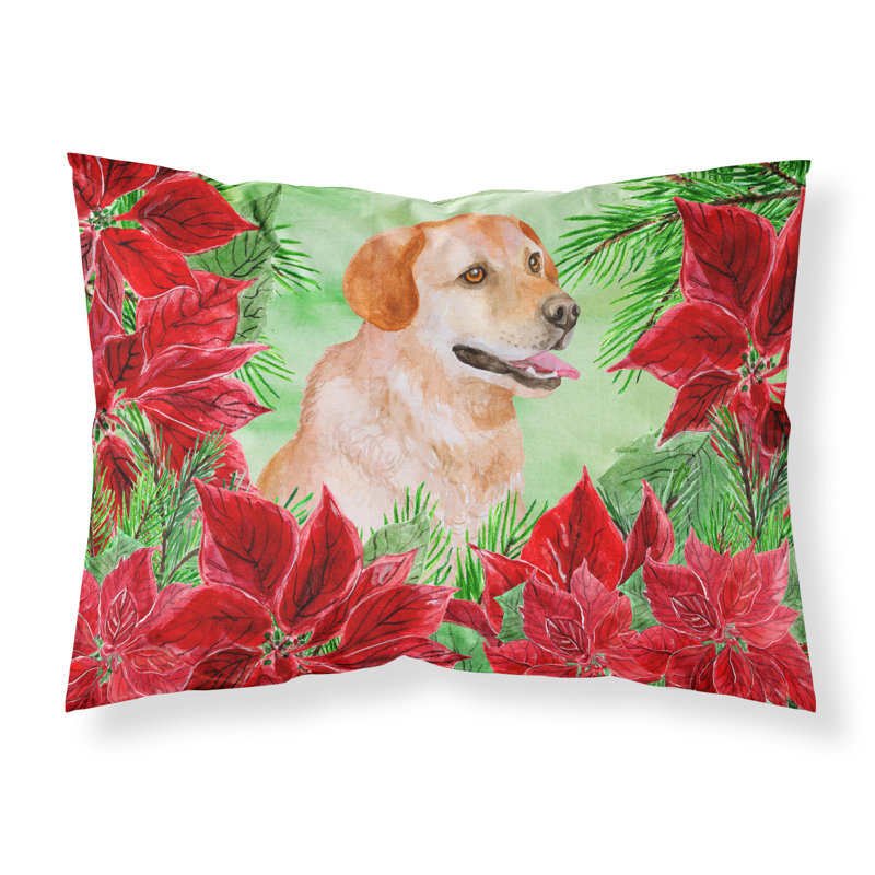 Microfiber, Labrador Retriever
