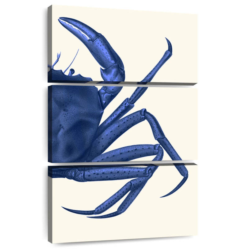 Crabe Brampt contrastant en bleu marine B, H 38 po x l 24 po