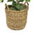 48'' Faux Ficus Tree in Wicker/Rattan Basket