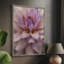 «Soft Flower Petals II», reproduction encadrée - bois massif-792245224