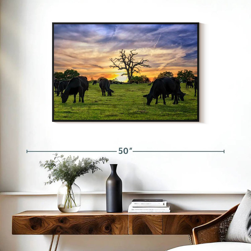 Pâturages Aberdeen Angus, Cadre flottant noir, 37 po x 25 po