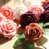 Rose millennial est en rupture de stock