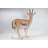 Gazelle Statue