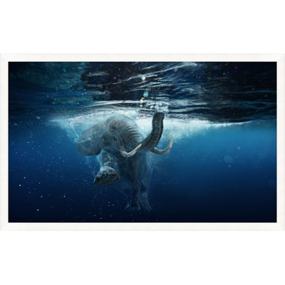 Elephant Swim 1 Print by Mat Sanders
