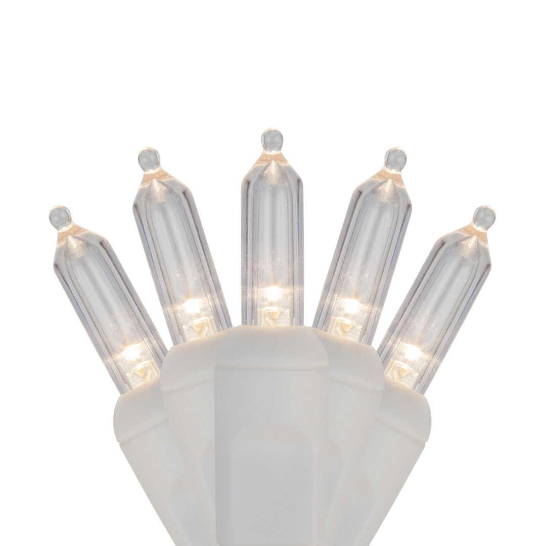 50-Light LED Indoor-Outdoor Mini String Lights (End to End Connectable) The Holiday Aisle®