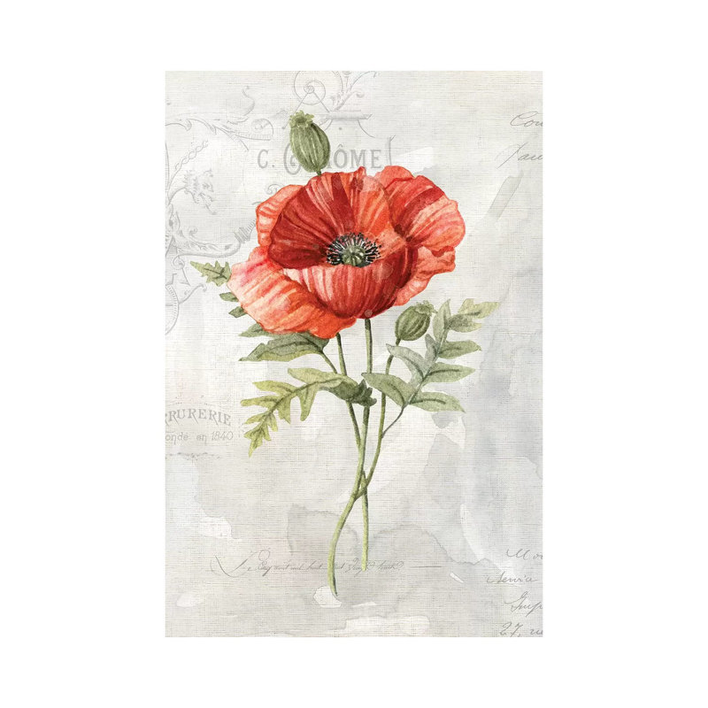 Linen Poppy by Carol Robinson - Print on Canvas, Wrapped Canvas, 101.6 cm H x 66.04 cm W x 1.91 cm D